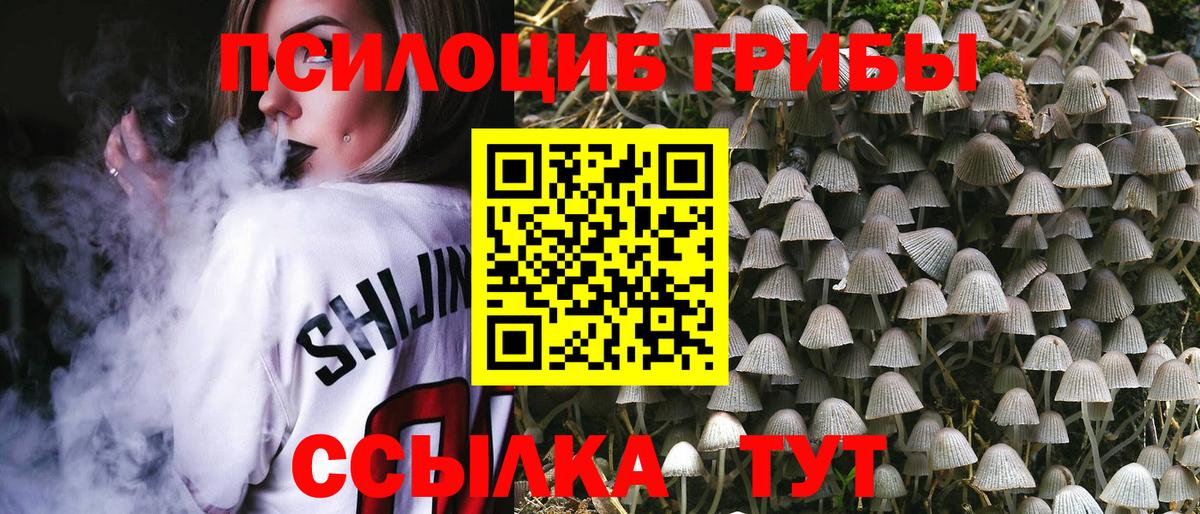 Галлюциногенные грибы мухоморы  Вход с VPN  Анжеро-Судженск  Псилоцибиновые грибы Psilocybine cubensis 